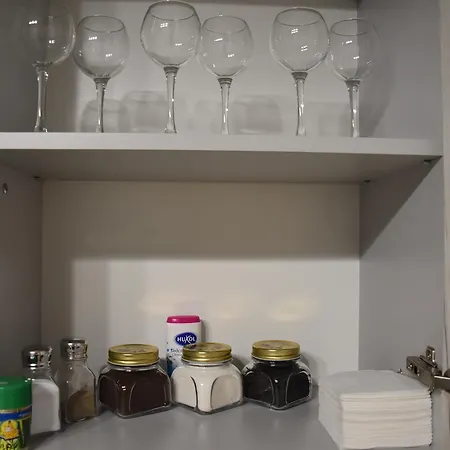 New Spacious Apartment Lemberg