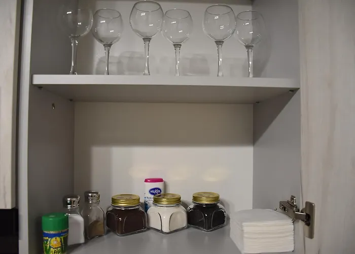 New Spacious Apartment Lviv